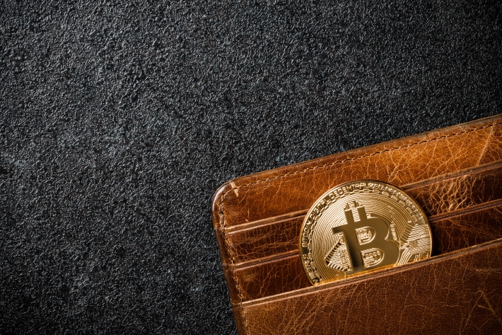 bitcoincoininwalletonbla