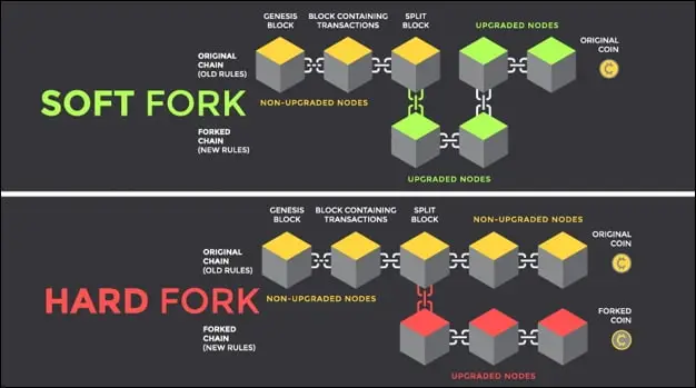 Quais são os dois tipos de forks no blockchain?